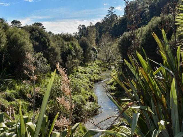 Land for sale in Bay Of Plenty