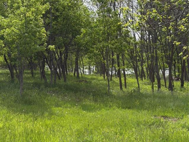 Land for sale in Michigan