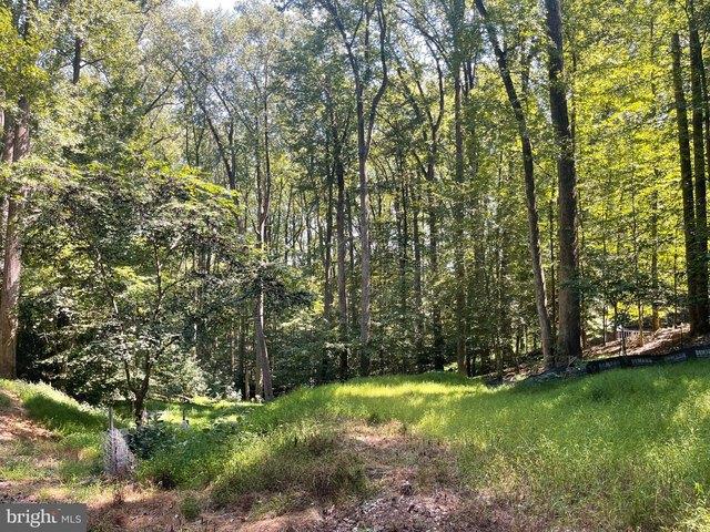 Land for sale in Great Falls, Fairfax County