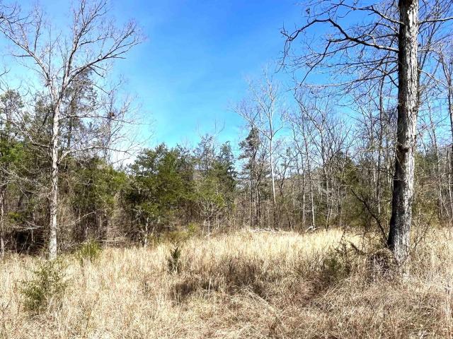 Land for sale in Ark