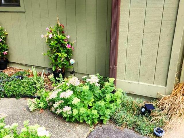 House for sale in Saint Michaels, Maryland