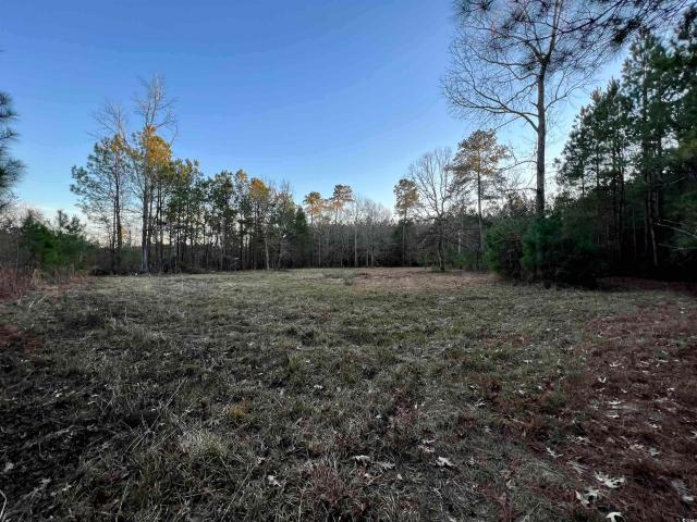 Land for sale in Nesmith, Williamsburg County