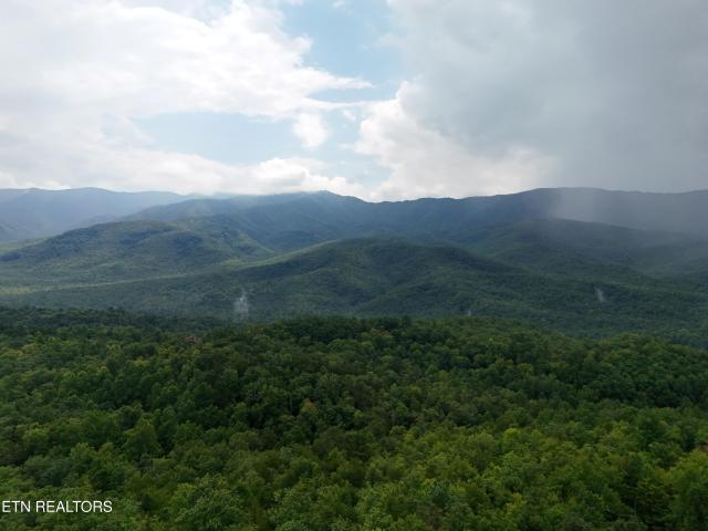 Land for sale in Tennessee