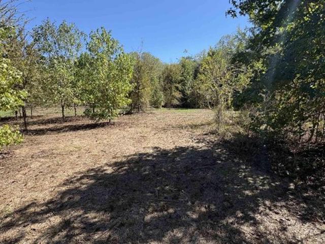 Land for sale in Quitman, Wood County