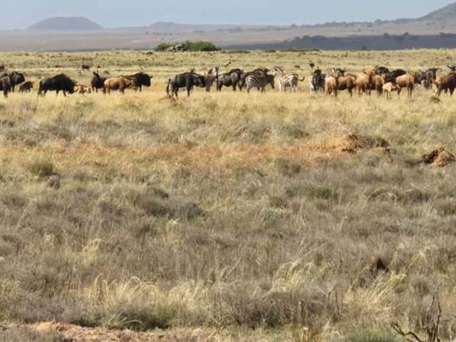 Farm for sale in Xhariep District Municipality, Free State