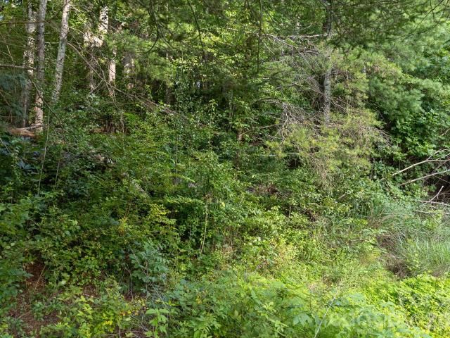 Land for sale in Fletcher, North Carolina