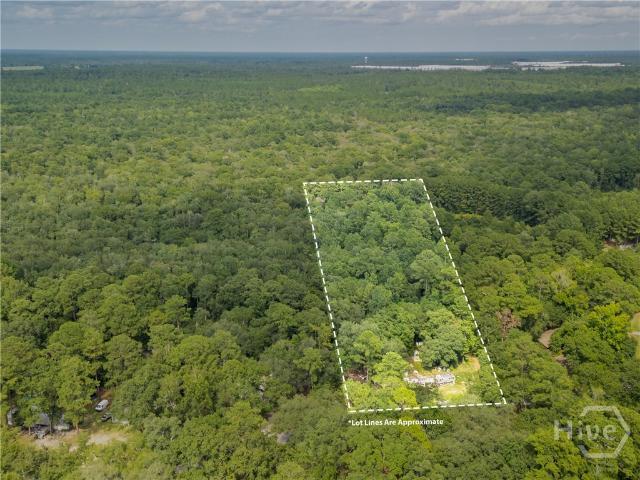 Land for sale in Georgia