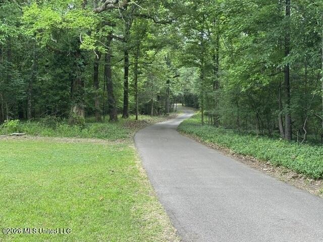 Land for sale in Sardis, Mississippi