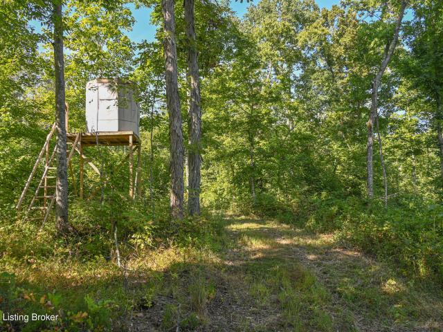 Land for sale in Willisburg, Kentucky