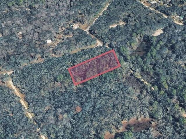 Land for sale in Webster, Florida