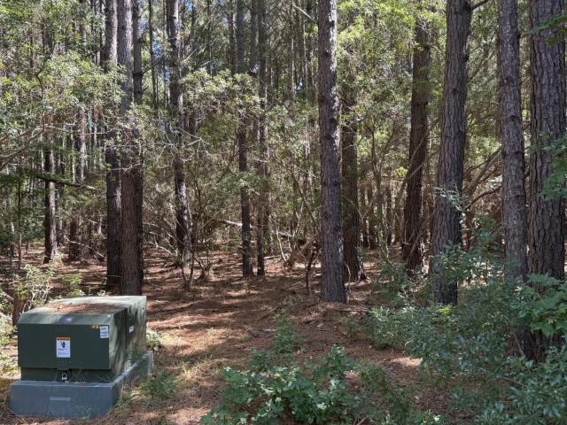Land for sale in Oriental, Pamlico County