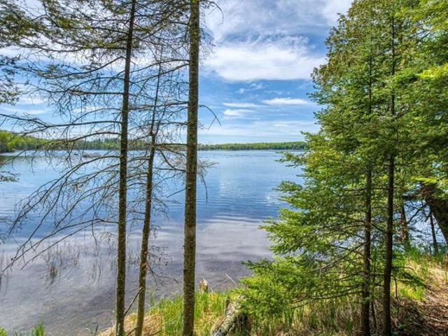 Land for sale in Vilas, Wisconsin
