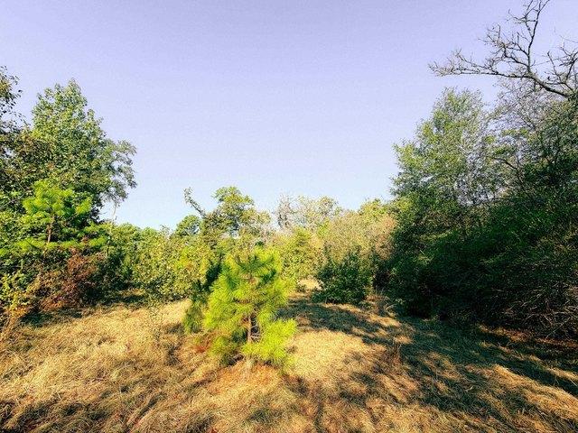 Land for sale in Marshall, Harrison County