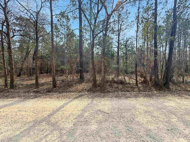 Land for sale in Lumberton, Texas