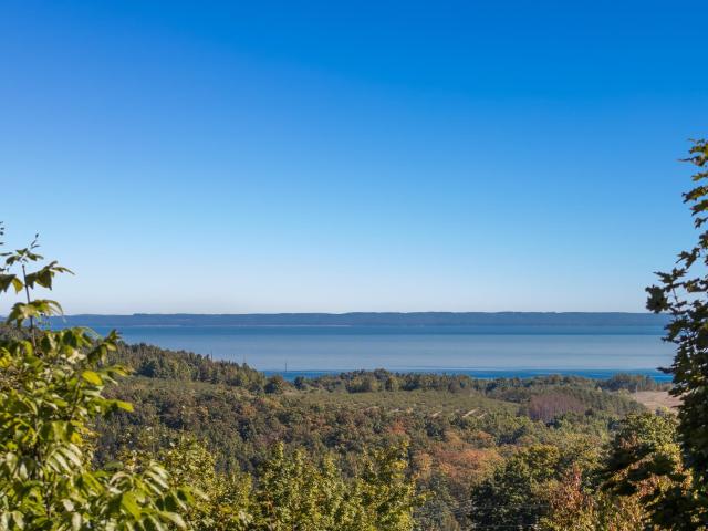 Commercial for sale in Michigan