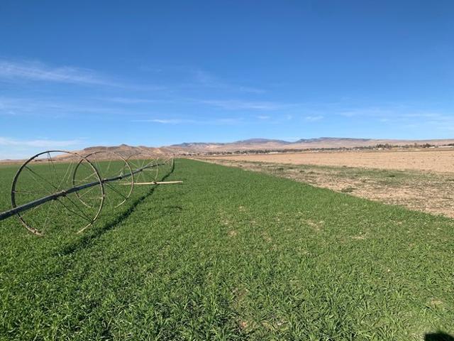 Land for sale in Centerfield, Utah