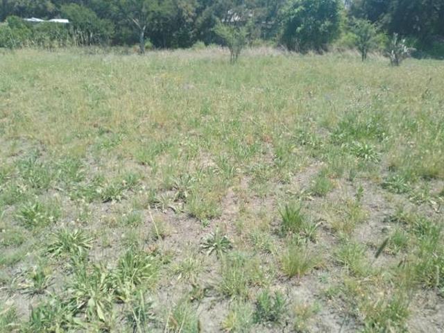 Land for sale in Sasolburg, Metsimaholo Local Municipality
