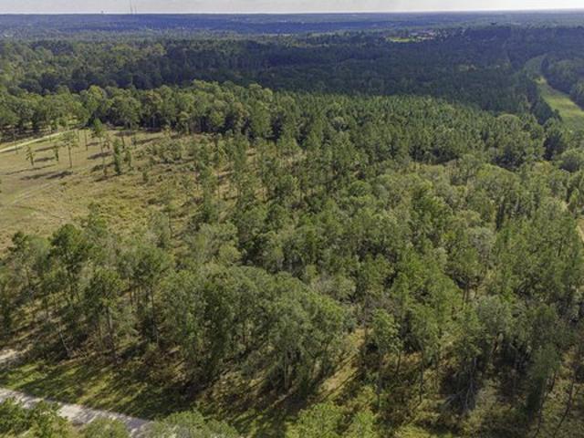 Land for sale in Polk, Texas