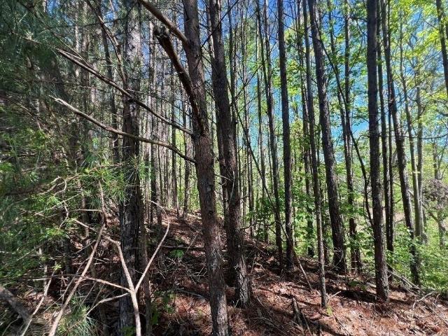 Land for sale in Canton, Georgia