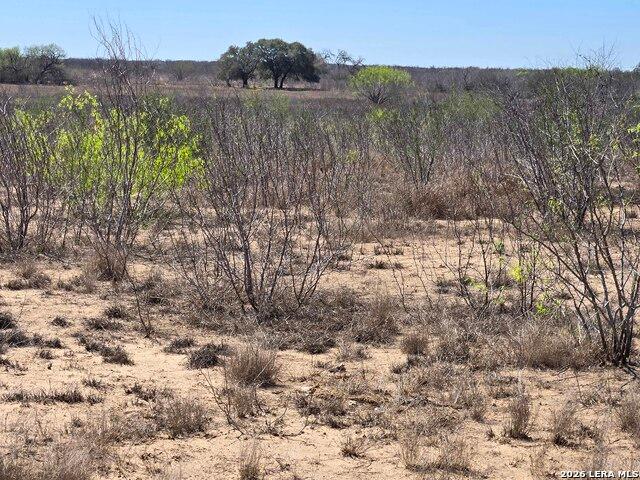 Farm for sale in Bee, Texas