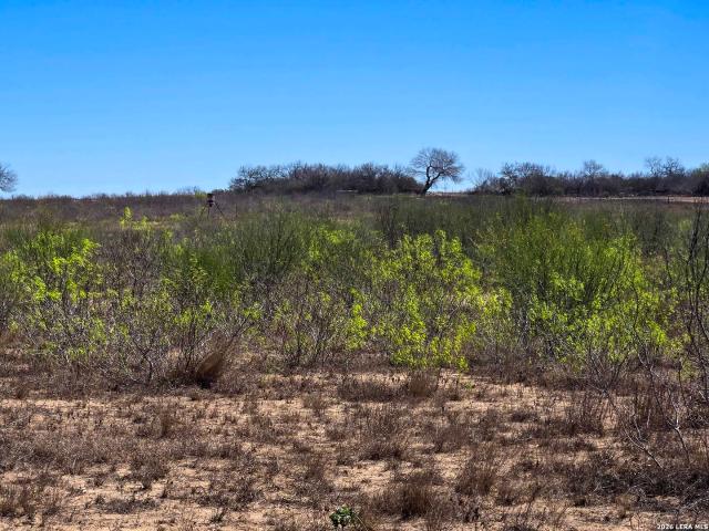 Land for sale in Bee, Texas
