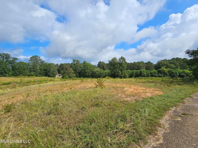 Land for sale in Laurel, Mississippi