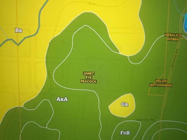 Land for sale in Geneva, Alabama