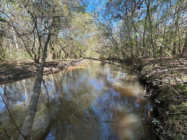 Land for sale in Geneva, Alabama