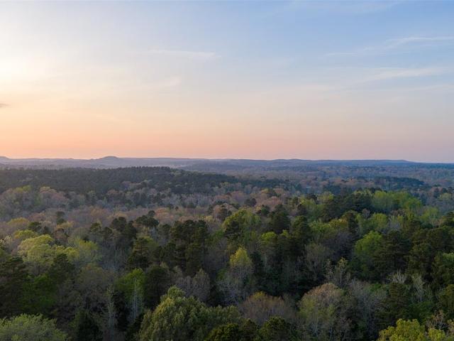 Land for sale in Diana, Texas