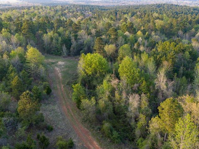 Land for sale in Diana, Texas