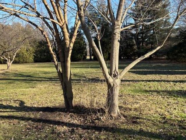 Land for sale in Indiana