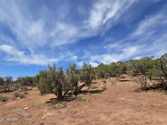 Land for sale in Navajo, Arizona