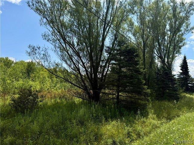 Farm for sale in Derby, New York
