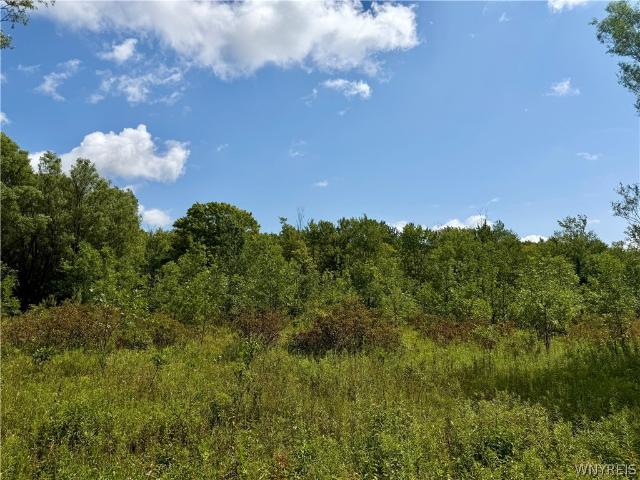 Land for sale in Derby, New York