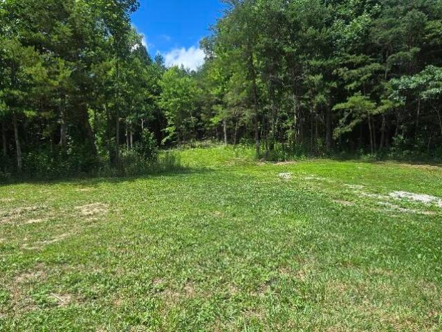 Land for sale in Tennessee