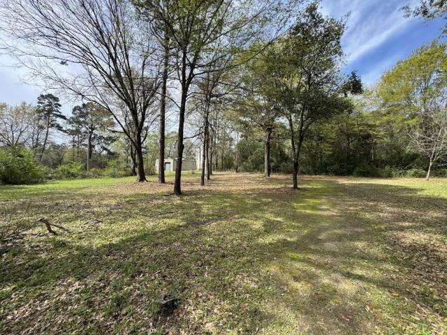 Land for sale in Atlanta, Texas