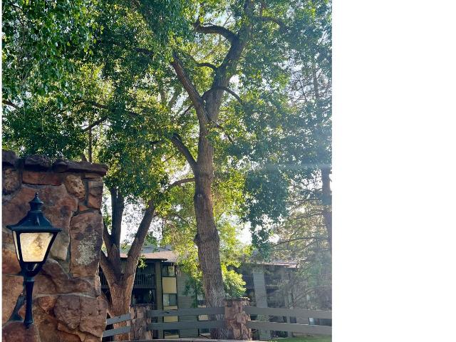 Condo for sale in Fort Collins, Colorado