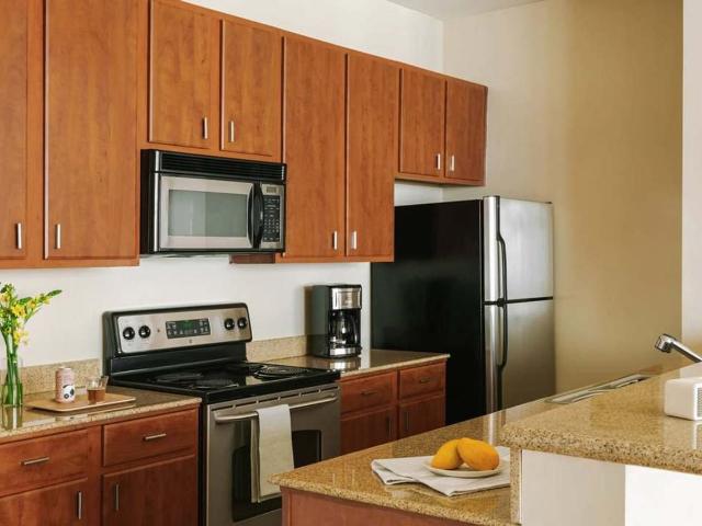 Apartment for rent in New Orleans, Louisiana