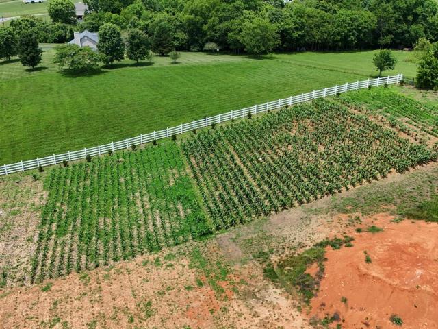Land for sale in Tennessee