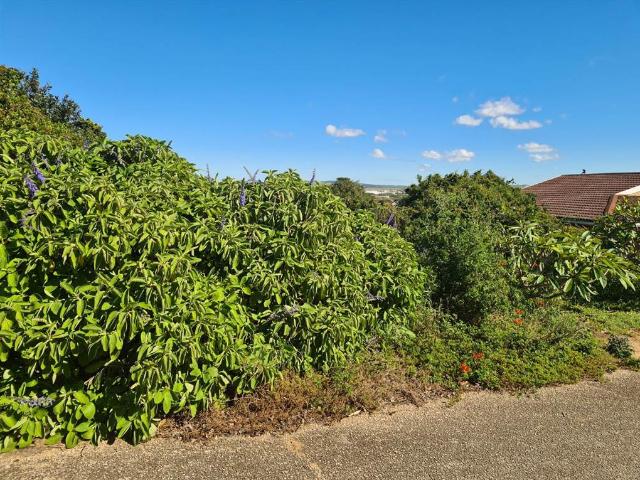 Land for sale in Bushmans River Mouth, Eastern Cape