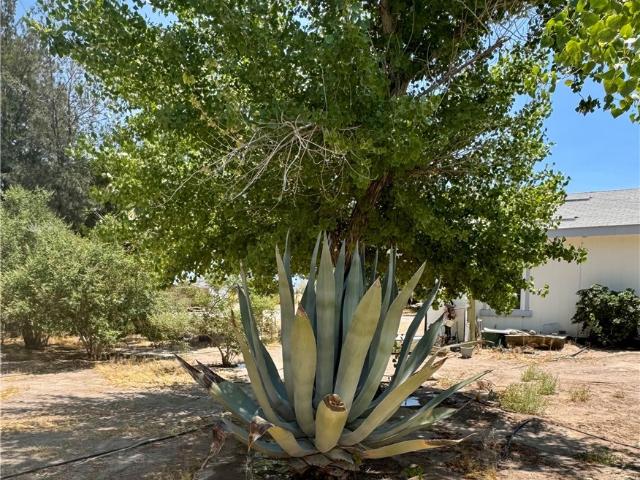 House for sale in Nye, Nevada