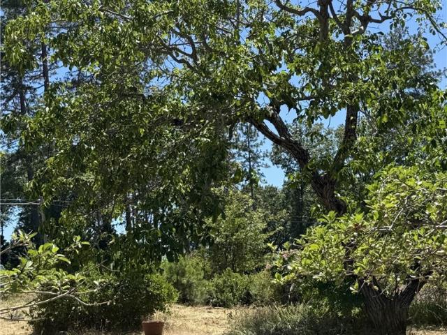 Land for sale in Butte, California