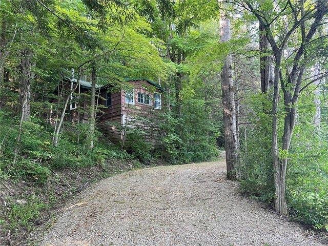 Land for sale in Village of Canaseraga, Town of Burns