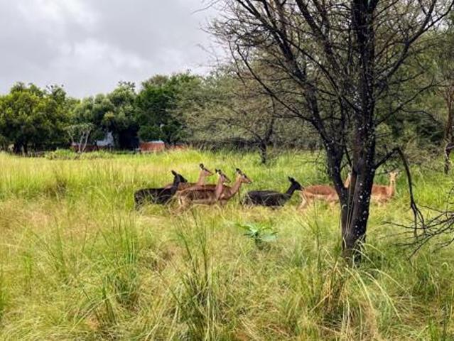 Land for sale in North West