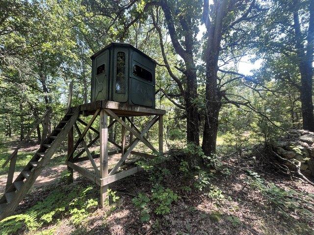 Land for sale in Grovespring, Missouri