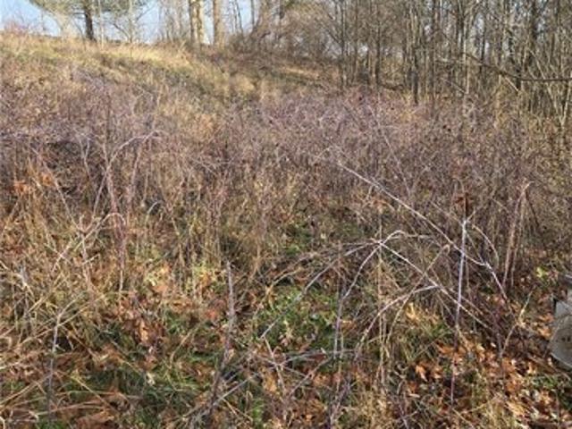 Land for sale in Magnolia, Ohio