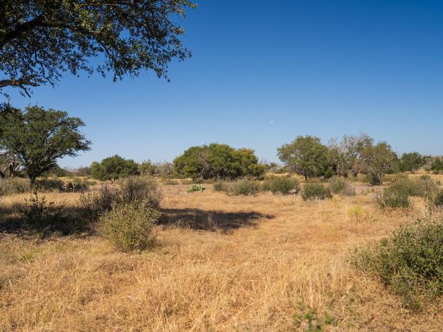 Farm for sale in Blanco, Texas