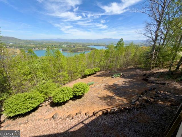 House for sale in Hiawassee, Georgia