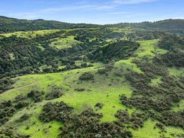 Land for sale in Waikato