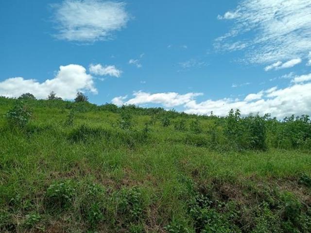 Land for sale in Umgungundlovu, Kwazulu-natal